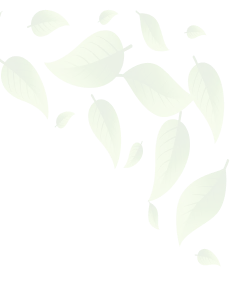 Decorative Leaf