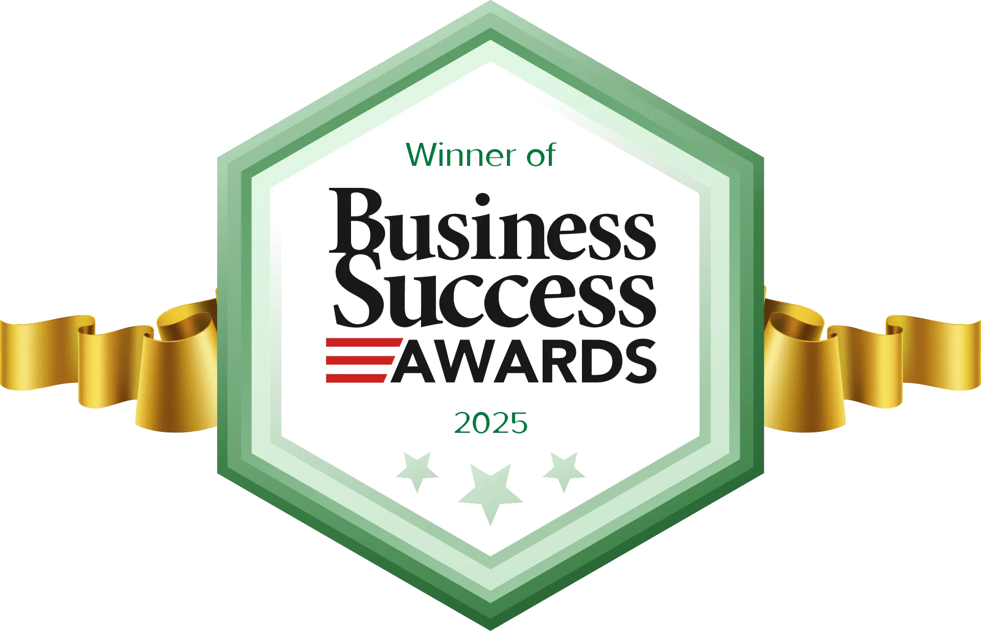 Business Success Awards 2025